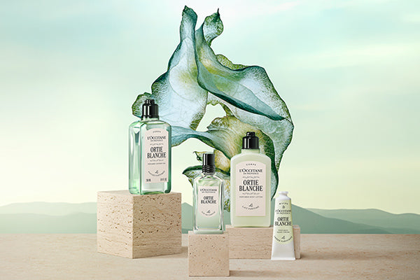 L'Occitane Herbae 香水 フレグランス エルバヴェール | L'Occitane JP