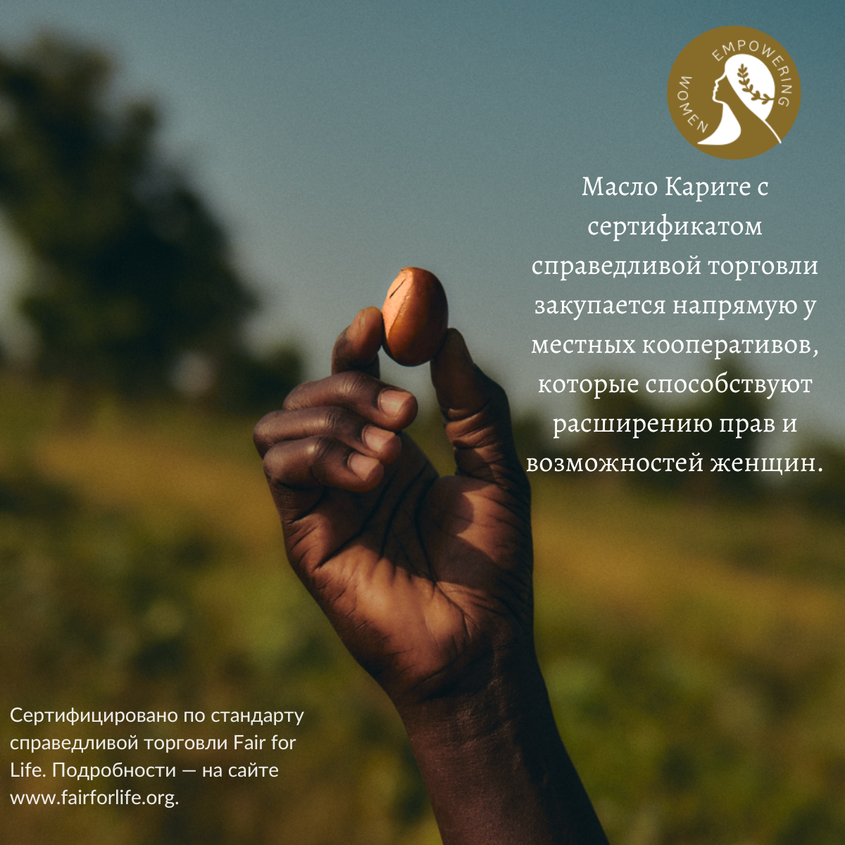 Интенсивный бальзам для рук Карите