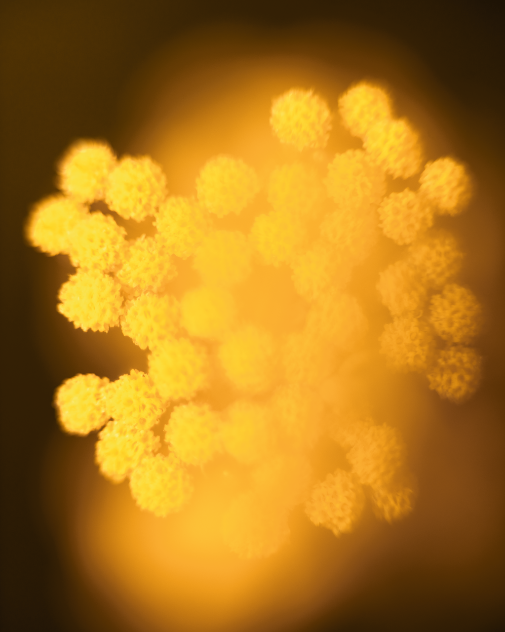 Крем для лица Immortelle Precious