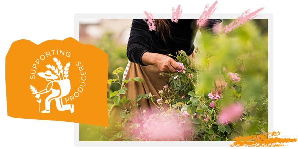 Честная компания | L'Occitane