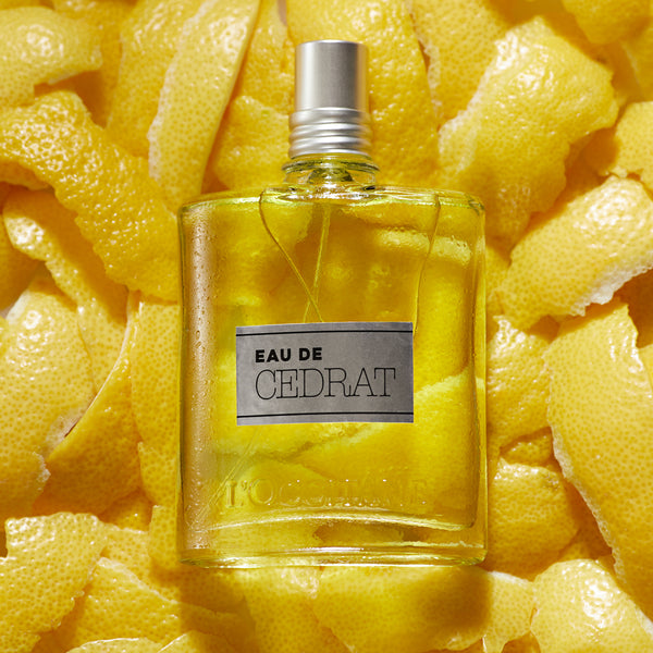 Цедрат | Туалетная вода для мужчин | L'Occitane