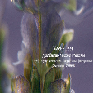 Обновленный мицеллярный шампунь Деликатный уход и баланс, эко-запаска