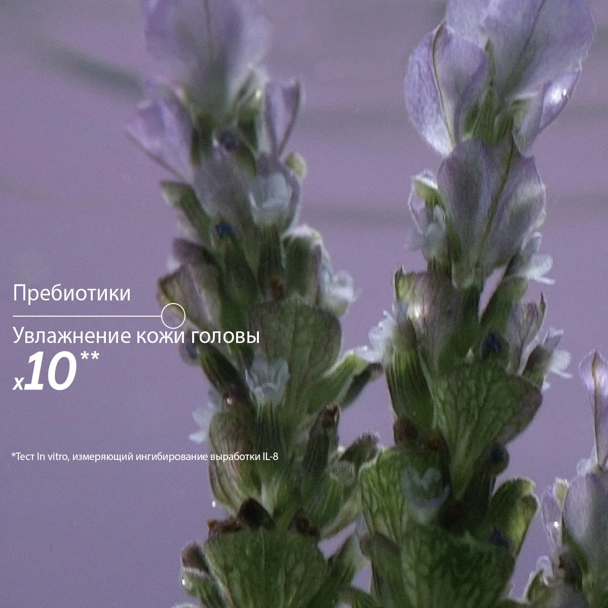 Обновленный мицеллярный шампунь Деликатный уход и баланс, эко-запаска