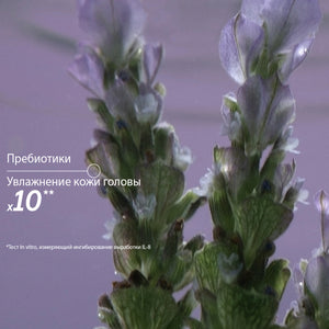 Обновленный мицеллярный шампунь Деликатный уход и баланс, эко-запаска