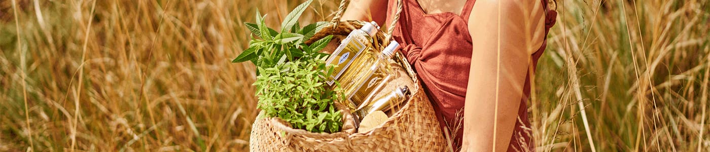 Акции | Скидки | Подарки | L'Occitane