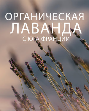 Парфюмированный гель для душа Lavande, дорожный формат