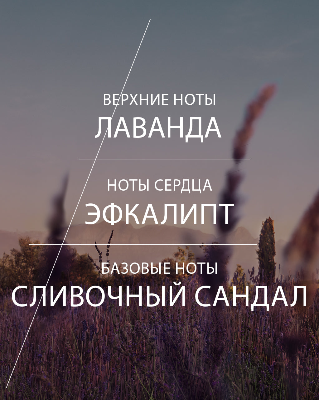 Туалетная вода Lavande