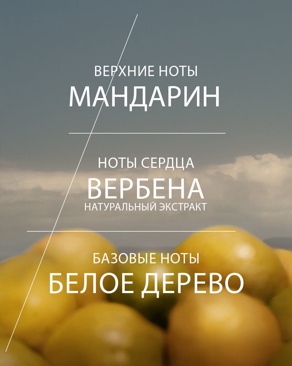 освежающий аромат 