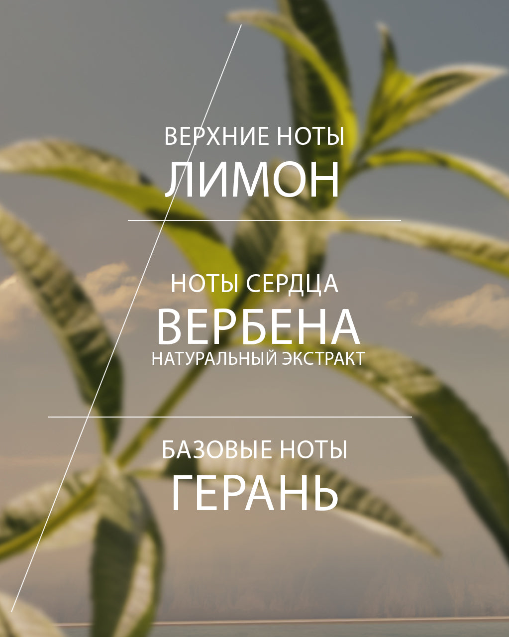 Туалетная вода Verveine (Вербена), мини формат