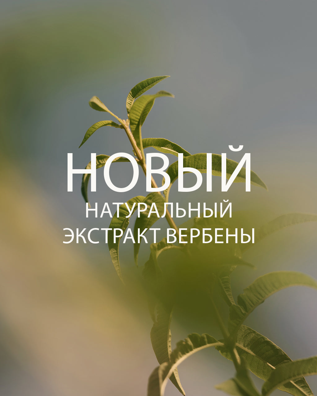Свеча Verveine (Вербена)