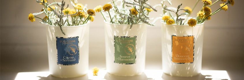 Ароматы для дома | L'Occitane